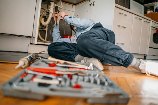 Best Water Softener Installation  in Wildwood, MO
