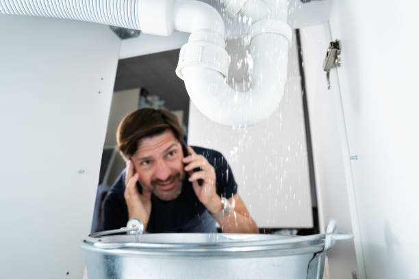 Best Boilers & Radiators  in Wildwood, MO