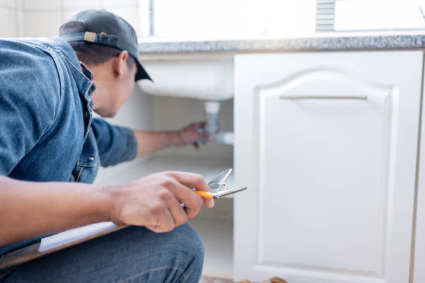 Best Plumbing Inspection Services  in Wildwood, MO