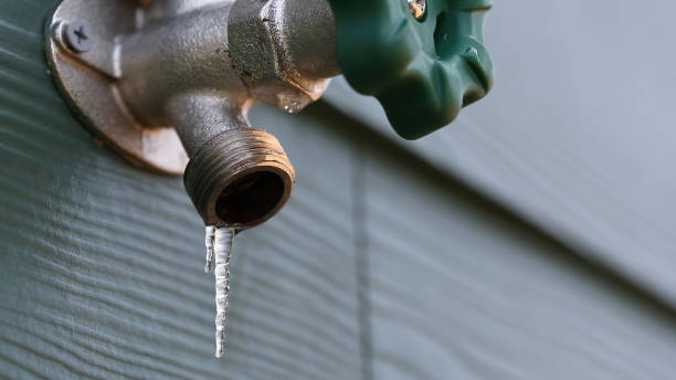 Best Shower Repair Services  in Wildwood, MO